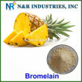 Bulk 2400gdu bromelain